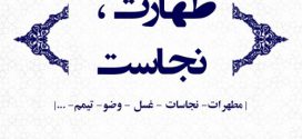 اگر فضله موش در مثل آش پیدا شود و یا مثلاً برنج خیس خورده